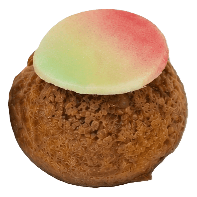 Chou Éphémère — Mangue